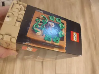 LEGO Ideas Galileo Galilei 40595