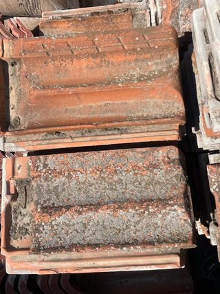Tejas ceramica plana 0,2€ unidad en valladolid
