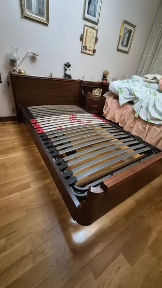 Somier articulado eléctrico