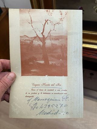 Cuadro bodegón Óleo Huerta del Río