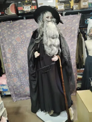 Disfraz Mago Señor de los Anillos Talla XL