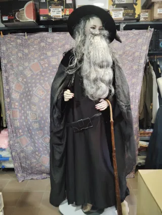 Disfraz Mago Señor de los Anillos Talla XL