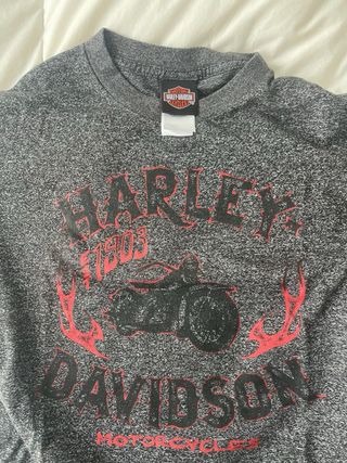 Camiseta Harley Davidson Berlin.