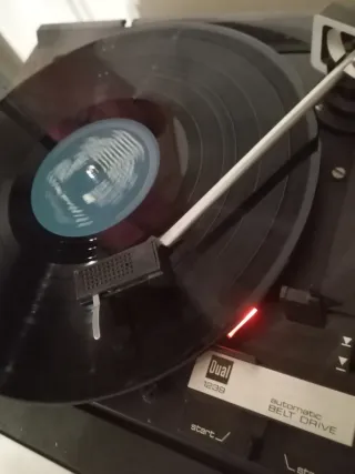 Vinilo LP Enya Shepherd Moons