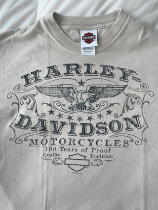 Camiseta Harley Davidson Boston.