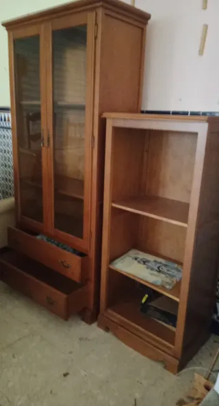 Vitrina y estantería de madera