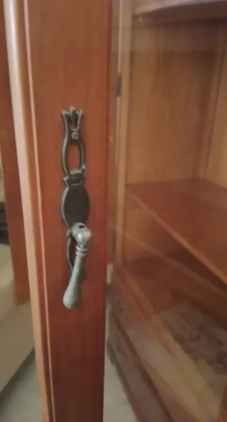 Vitrina y estantería de madera