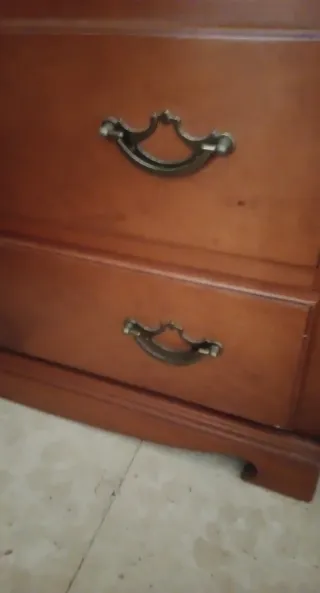 Vitrina y estantería de madera