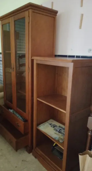 Vitrina y estantería de madera