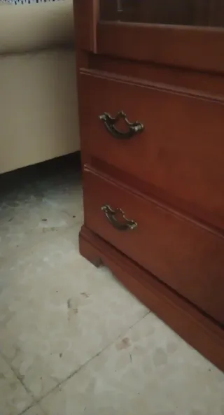 Vitrina y estantería de madera