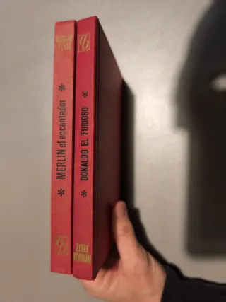 Libros vintage Disney colección Hogar feliz