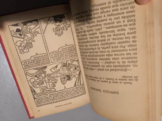 Libros vintage Disney colección Hogar feliz