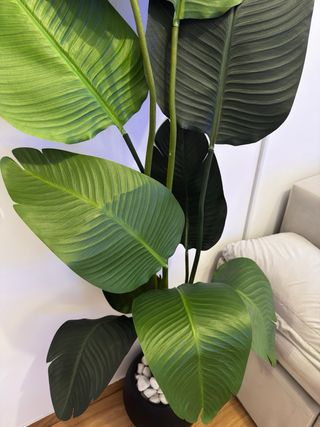 Planta Artificial Grande Decorativa