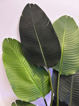 Planta Artificial Grande Decorativa