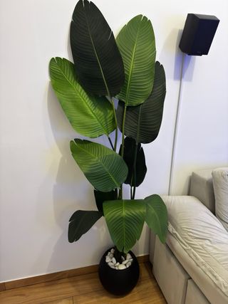 Planta Artificial Grande Decorativa