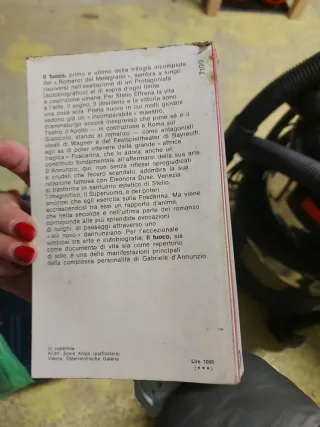 Libro Gabriele d'Annunzio: Il fuoco