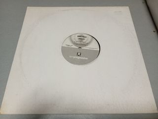 Disco Vinilo Barthezz – Infected/On the move