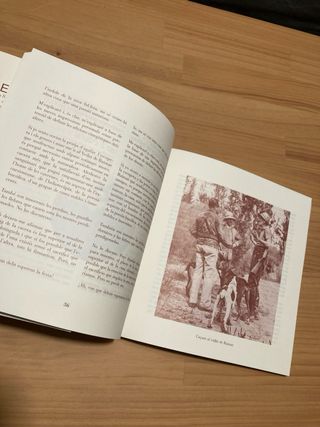 Les caceres a la literatura catalana