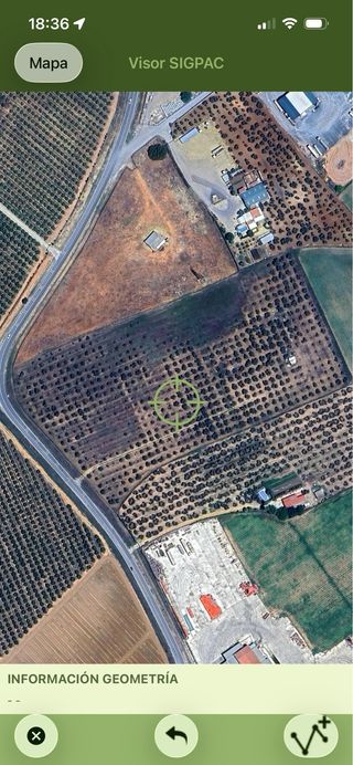 Finca de olivos de cuatro hectareas con agua y luz