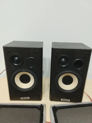 Altavoces Tannoy pequeños