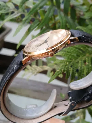 Reloj Hamilton 8702 Cuarzo Dorado