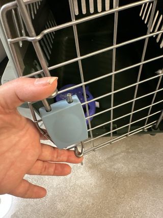 Transportín y correa para mascotas