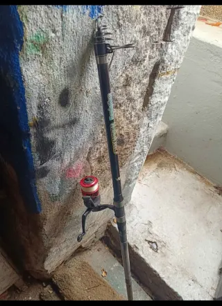 Cana de pesca Vega com carreto (4,50m)