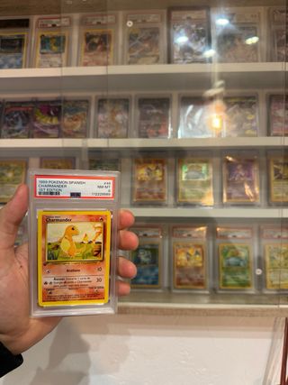 Pokemon Charmander 1st Edición PSA 8 Español