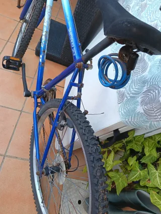 Bicicleta de adulto azul y blanca