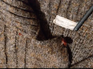 Cardigan/jacket lana vintage Made in Italy