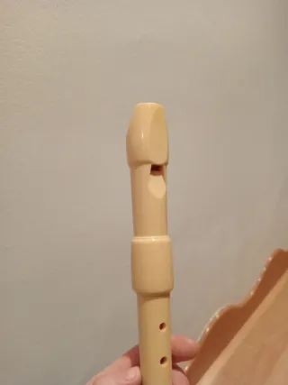 Flauta dulce Hohner con funda