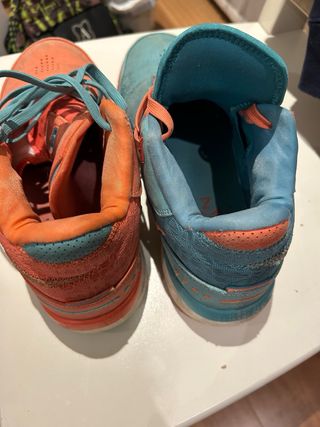 Zapatillas Baloncesto Lebron Bicolor