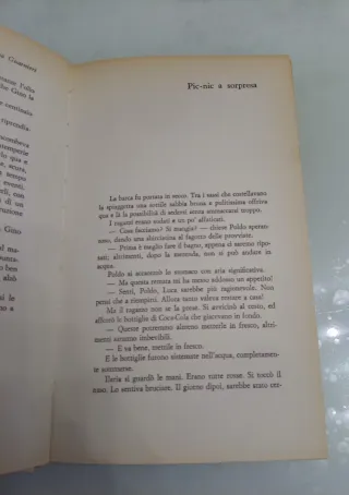 Un'avventura per l'estate Romanzo di Guarnieri