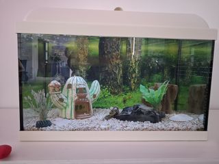 Pecera con accesorios decorativos