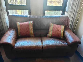 Sofá de cuero marrón 2 plazas