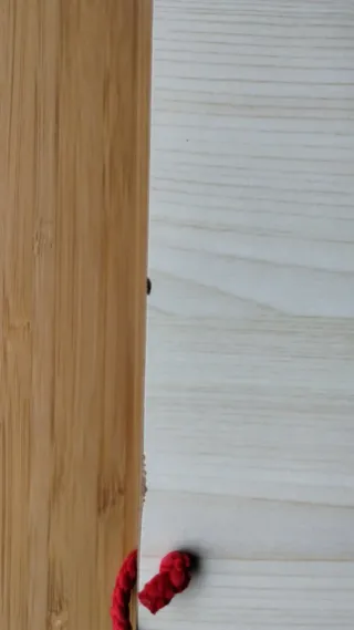 Puzzle Magnético Mapa del Mundo Infantil