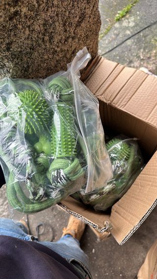 Juguete para perro de peluche