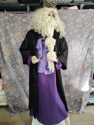 Disfraz Albus Dumbledore Talla L