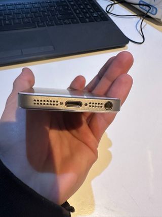 iPhone 5s Dorado