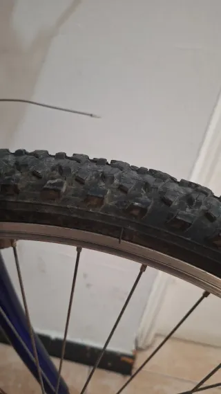 Bicicleta Rueda 26 TOP TROTTER