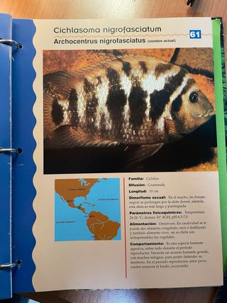 Enciclopedia Acuario fácil 1,2,3,4