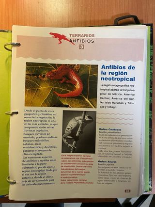 Enciclopedia Acuario fácil 1,2,3,4