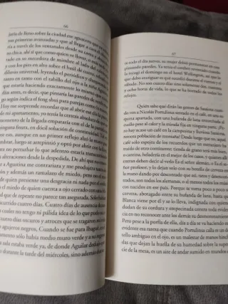 Delirio (Premio Alfaguara de novela 2004) (Span...