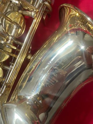 Sax alto stagg