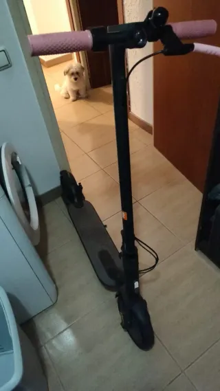 Patinete Eléctrico Xiaomi