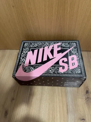 Nike SB Jordan x Travis Scott Caja