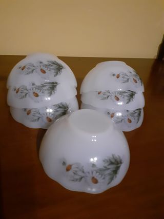 Arcopal cuencos Margaritas