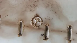 Bandeja Antigua Porcelana Pickman