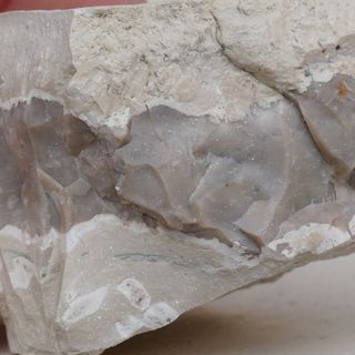 minerali SELCE Pesaro (SE1)