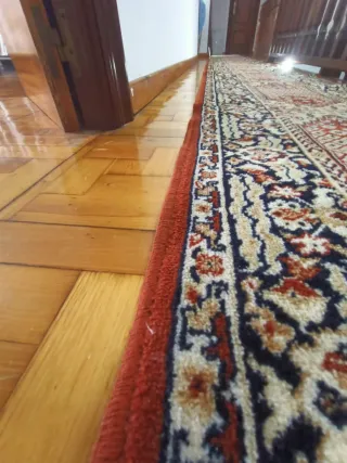 Alfombra de pasillo larga